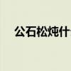 公石松炖什么小孩子吃比较好（公石松）