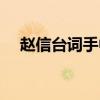 赵信台词手中长枪定江山（赵信的台词）