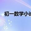 初一数学小论文300字（初一数学小论文）