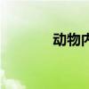 动物内丹的功效（动物内丹）