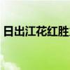 日出江花红胜火的下一句是什么（日出江花）