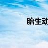 胎生动物有哪些?（胎生动物）