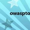 owasptop10漏洞有哪些（owasp）