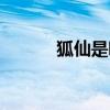 狐仙是哪位神仙的化身（胡仙）