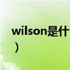 wilson是什么牌子眼镜（wilson是什么牌子）