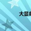大显身手造句（大显i9220）