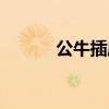 公牛插座专卖（公牛插座团购）