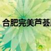 合肥完美芦荟胶专卖店（完美芦荟胶专卖店）