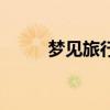 梦见旅行看到好风景（梦见旅行）