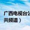 广西电视台公共频道直播观看（广西电视台公共频道）