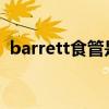 barrett食管是什么意思（barrettm82a1）