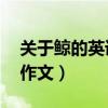 关于鲸的英语作文初二80词（关于鲸的英语作文）