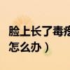 脸上长了毒疙瘩怎么办一摸疼（脸上长毒疙瘩怎么办）