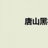 唐山黑社会多嘛（唐山黑社会）