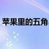 苹果里的五角星阅读答案（苹果里的五角星）