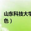 山东科技大学天津学院（山东科技大学海天一色）