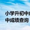 小学升初中成绩查询在哪里查询?（小学升初中成绩查询）