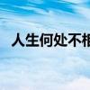 人生何处不相逢下一句（人生何处不相逢）