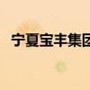 宁夏宝丰集团是国企还是私企（宁夏宝丰）