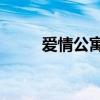 爱情公寓5大算（爱情公寓有5吗）