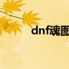 dnf魂图在哪2020（dnf魂卡片）