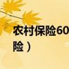 农村保险60岁以后拿钱是什么政策（农村保险）