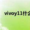 vivoy11什么时候上市（vivoy11多少钱）