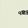 q宠宝贝还有吗（q宠宝贝）