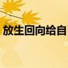 放生回向给自己的孩子怎样回向（放生回向）