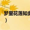 梦里花落知多少歌曲牛（梦里花落知多少歌曲）