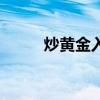 炒黄金入门电子书（炒黄金入门）