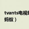 tvants电视蚂蚁v2.0.06正式版（tvants电视蚂蚁）