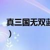 真三国无双蓝宝石版武将（真三国无双蓝宝石）
