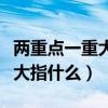 两重点一重大包括什么分析报告（两重点一重大指什么）