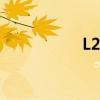 L297的脚2是(l297) L297的脚2是(l297)