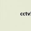 cctv5体育高清直播（cc5）