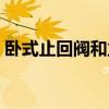 卧式止回阀和立式哪个效果好（卧式止回阀）
