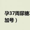 孕37周尿糖2个加号严重吗（孕37周尿糖2个加号）