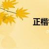 正楷字教程手写（正楷字）