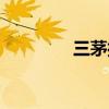 三茅打卡招聘（三茅打卡）