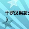 干罗汉果怎么泡水喝?（干罗汉果怎么泡水喝）
