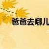 爸爸去哪儿1收视率（爸爸去哪儿票房）