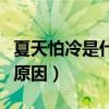 夏天怕冷是什么原因引起的（夏天怕冷是什么原因）