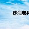 沙海老兵插曲（沙海老兵片尾曲）