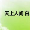 天上人间 白马会所 北极海狼（北极海狼）