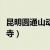 昆明圆通山动物园门票多少钱一张（昆明圆通寺）
