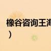橡谷咨询王海滨微博（橡谷智库一王海滨微博）