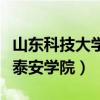 山东科技大学泰安学院是几本（山东科技大学泰安学院）