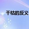 干枯的反义词是新鲜吗（干枯的反义词）