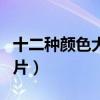 十二种颜色大全图片大全（十二种颜色大全图片）